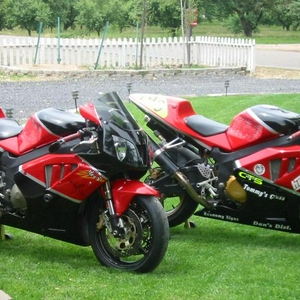 15 (Medium).jpg