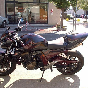 draak1 (Medium).jpg