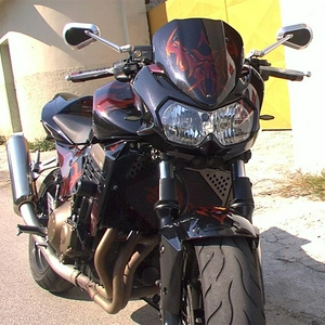 draak2 (Medium).jpg