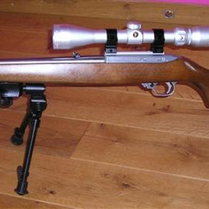 ruger 10-22 kijker (Small).jpg