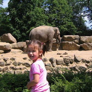 olifant.JPG