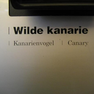 gespot.JPG