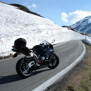 DSC01348 (Small).JPG