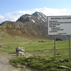 DSC01459 (Small).JPG