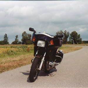 gs1.jpg
