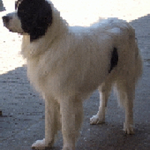Cebastaan DLC 1small.gif