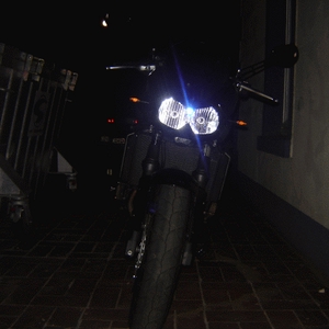 DSC03520.gif