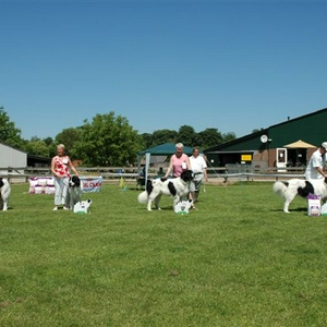 Bas Heteren Open klasse 11 juni 06.