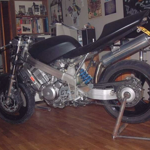 at hawk.JPG