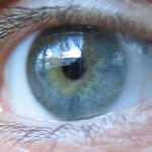 eye1.jpg