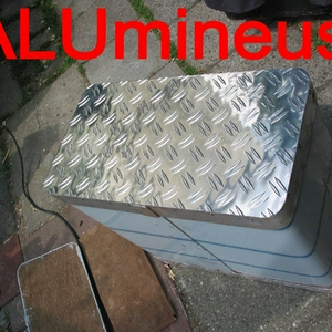 Alu20.jpg
