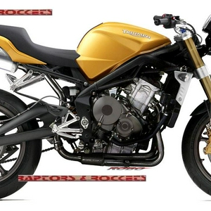 Speed_Triple_675r.jpg