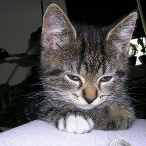 dscn2512.jpg