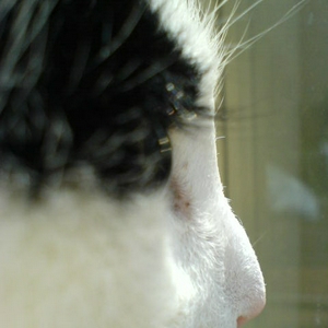 DSC00020.jpg