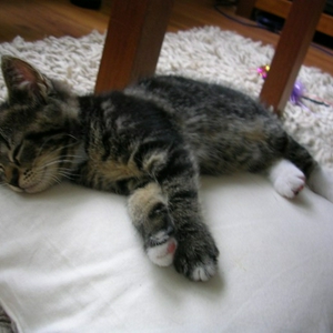 dscn2525.jpg