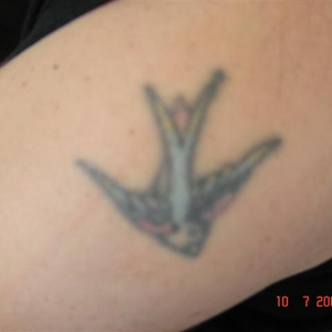 DSC01925 (Small).JPG