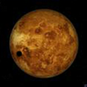 venus.jpg