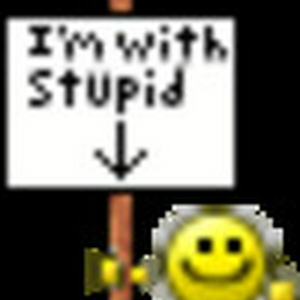stupid_usd.gif