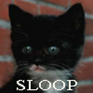 sloop y.jpg