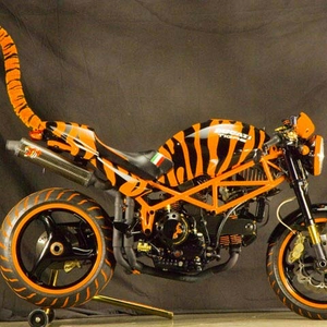 122_0608_01_z 2006_ducati_monster_c