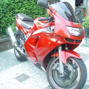 DSC07271.JPG