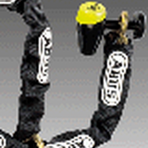 dzms01_6.gif