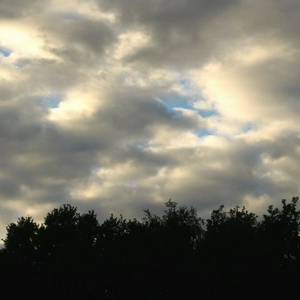 mini-IMG_0450.jpg