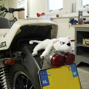 DSC02873_small.jpg