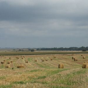 Longues-sur-mer17.JPG