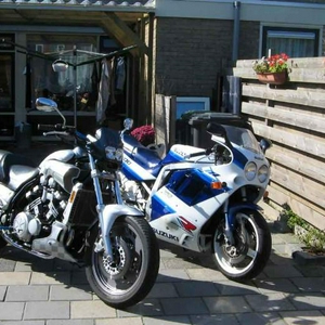 maxx.jpg
