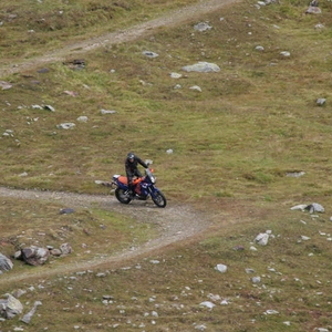 Goldwing-vs-ktm 964.jpg