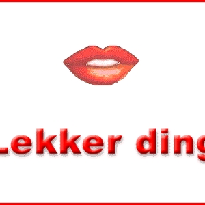 lekkurding.gif