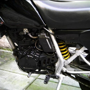 kawasaki 04.JPG