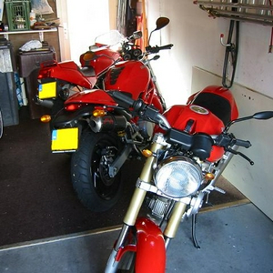 IMG_2246mf.JPG