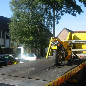 duc 001 klein.JPG