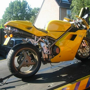 duc 2 klein.JPG