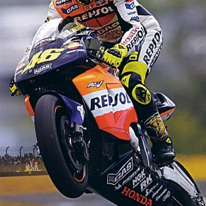 Rossi (Medium).jpg