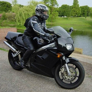 Sharky750Small.jpg