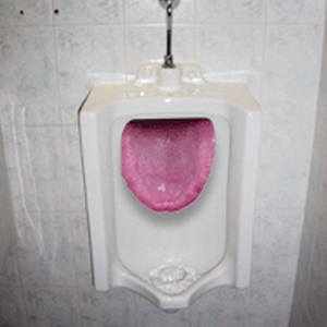 ladiesurinal.gif