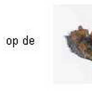 blabla.jpg