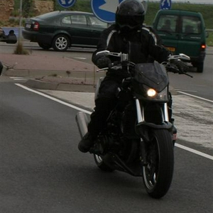 Niels (Medium).jpg
