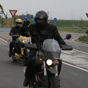 Gallopje (Medium).jpg