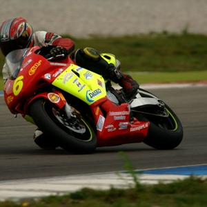 D2X_8355.jpg
