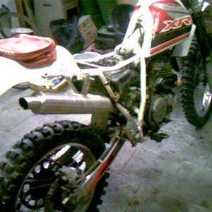 SP_A0463.jpg