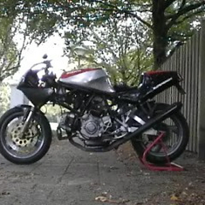 duc-01.jpg