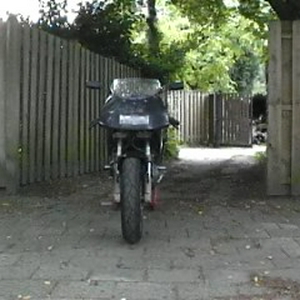 duc-09.jpg