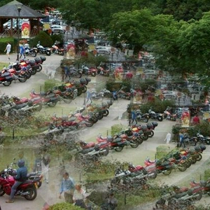 Lot's of bikes III small.jpg