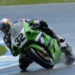 05-bostrom-in de regen.jpg
