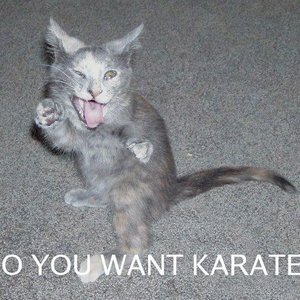 karate.jpg