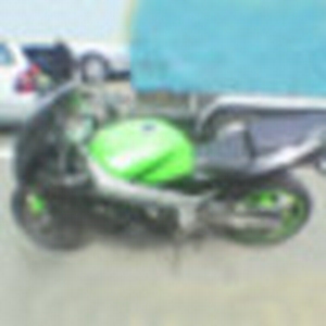 880732.jpg